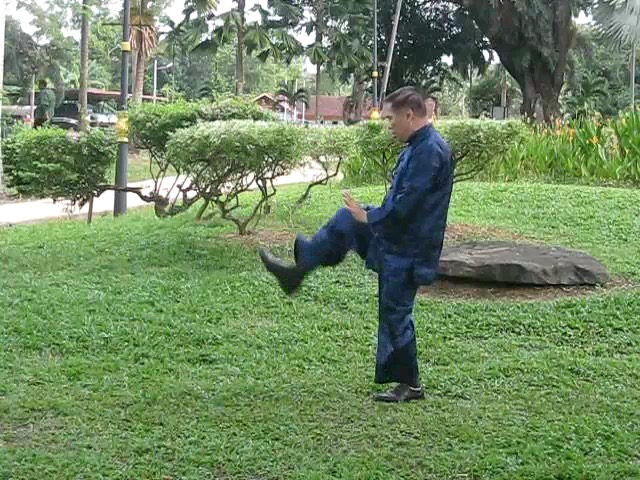 Wu Yu Xiang Style Taijiquan